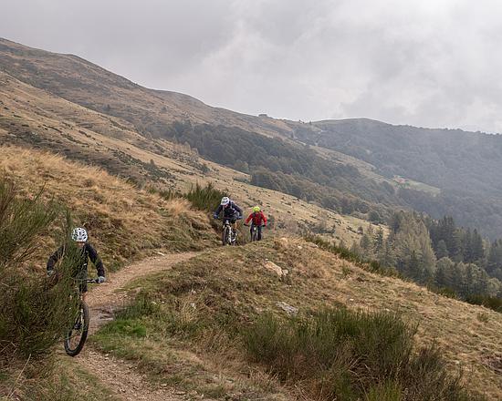 leichte carbon sattelstütze LUOKEKE Carbon-Fahrradsattelstütze, Fahrradsattelstütze, Carbonfaser-Fahrradsattelstützen, hochfeste MTB-Fahrradstütze SattelstüTzen(Matte 400x31.6mm) Sport & Freizeit Rahmentypen:Durchstieg (ECO R3) comp_apparel-type_retro-jerseys Prediction Supergrip+ Finger Surround