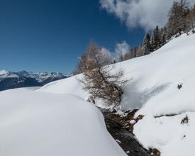 Parcours Aprili–Aminona Schneeschuhwandern | SchweizMobil