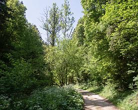 Etappe 4