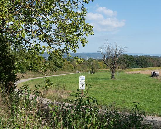 Dreiland-Wanderweg – Stage 1, Basel, Schifflände – Riehen