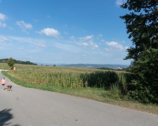 バーゼルへの道　ヘルムート・シュミット　der Weg nach Basel Basel, Switzerland: A delightful and surprising trip to see