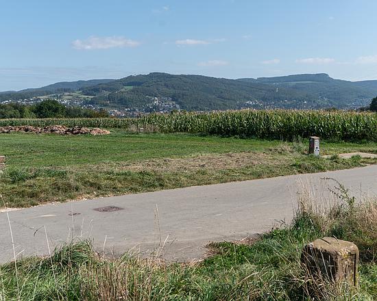 バーゼルへの道　ヘルムート・シュミット　der Weg nach Basel Dreiland-Wanderweg – Stage 1, Basel, Schifflände – Riehen